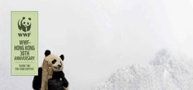 wwf-3dissue digital magazine sample