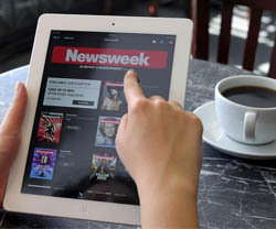 web audience