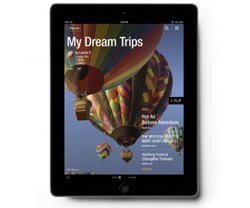online publication
