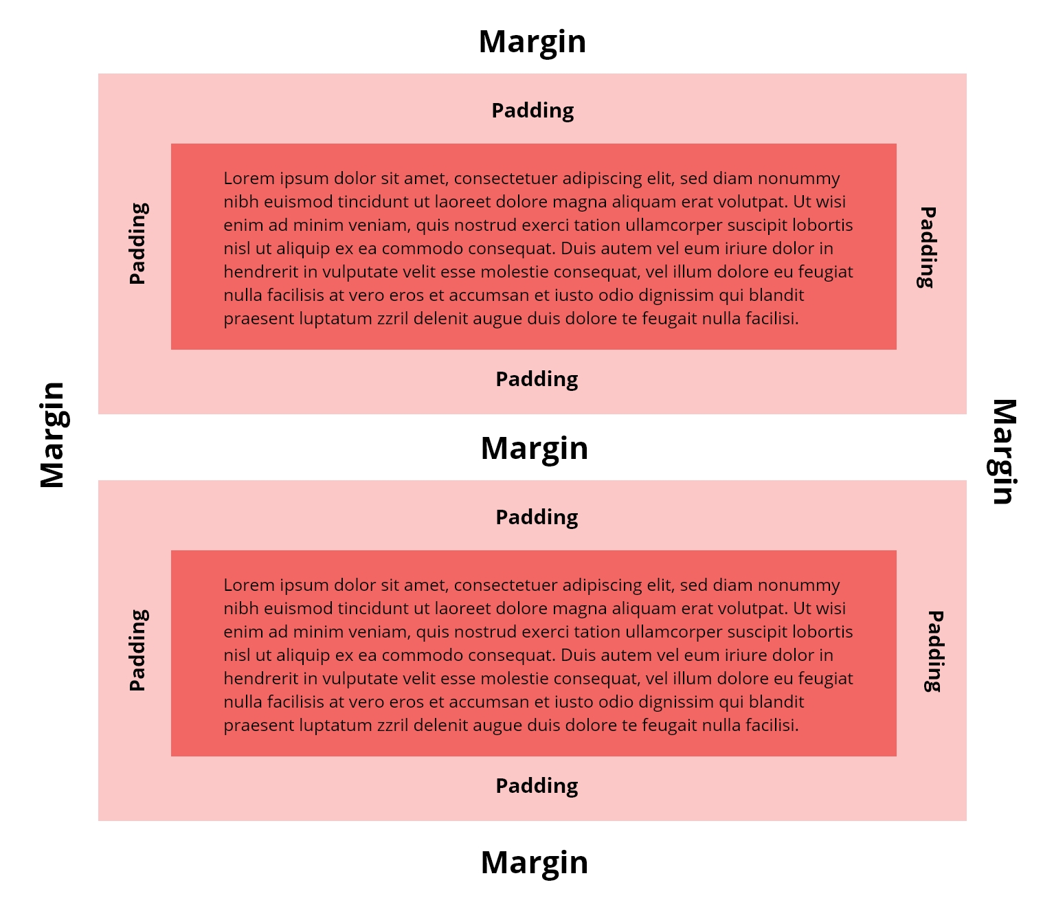 What is the difference between padding and margins? - 3D Issue Knowledge  Base