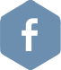 facebook app